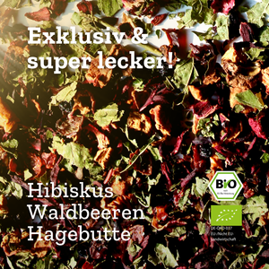 
                  
                    Tutti Fruitea Dream - Früchtetee mit Waldfrüchten - 90g - Bio
                  
                